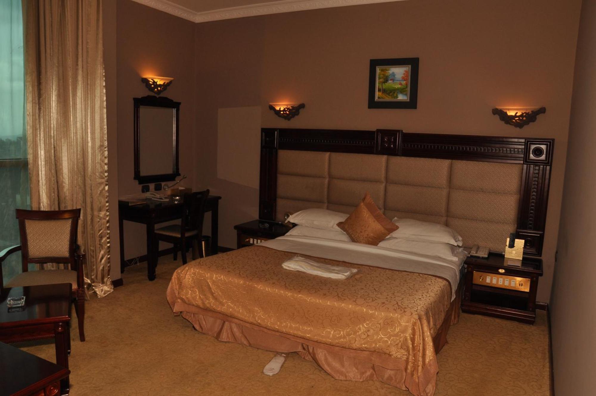Friendship International Hotel Addis Ababa Værelse billede