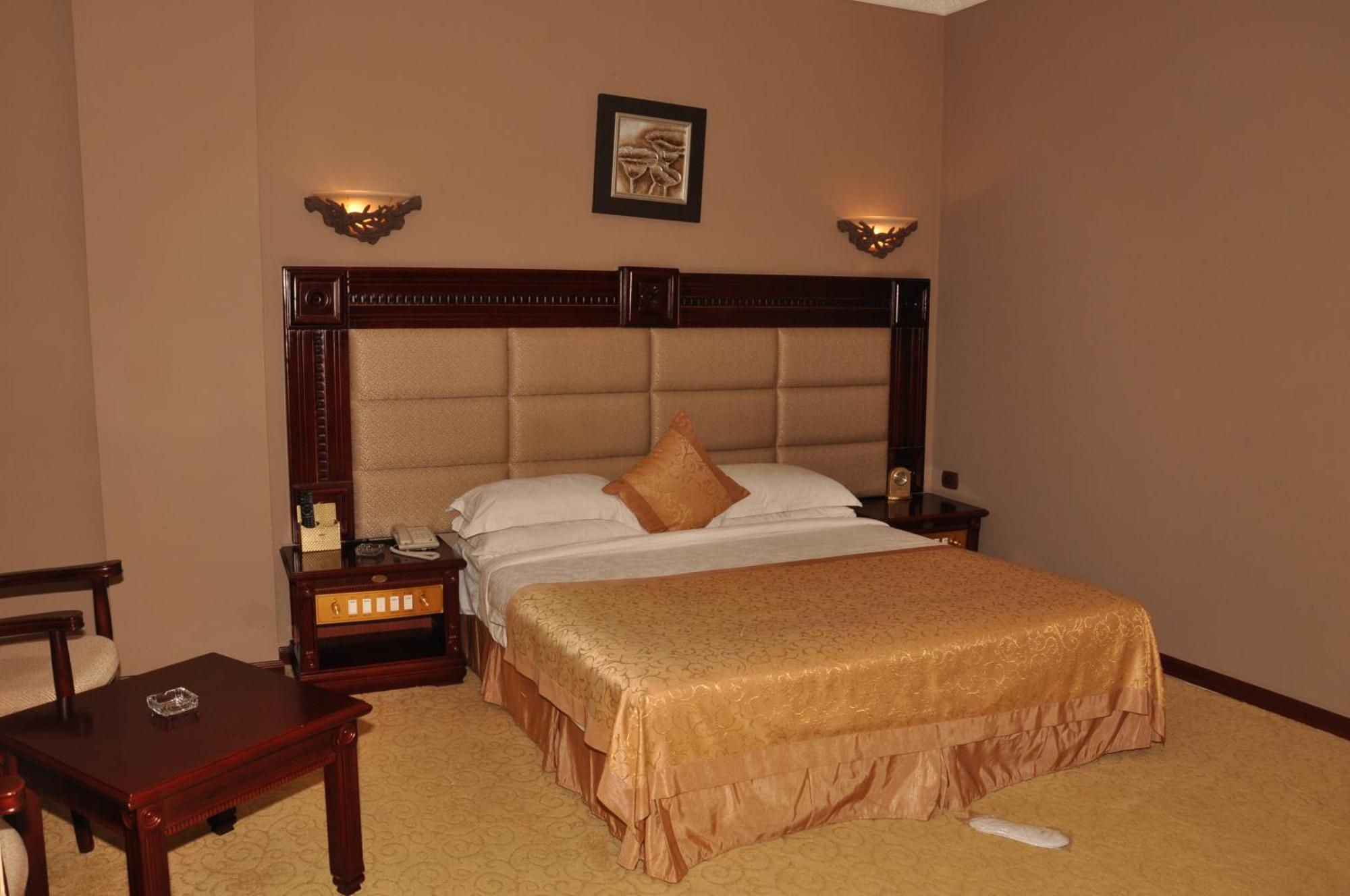 Friendship International Hotel Addis Ababa Værelse billede