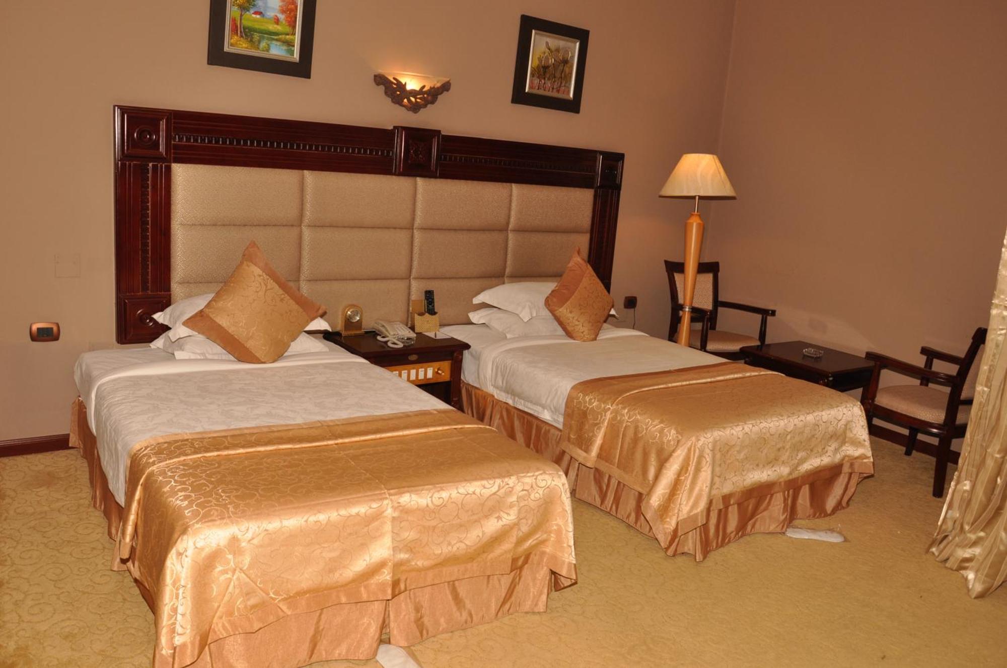 Friendship International Hotel Addis Ababa Værelse billede